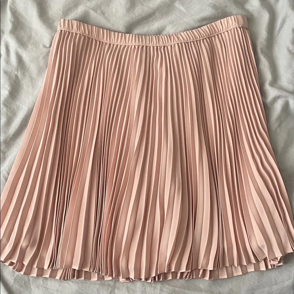 Banana Republic Pink Pleated Skirt - Picture 1 of 5